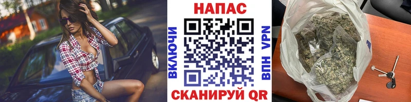 Канабис семена  купить наркотики цена  Альметьевск 